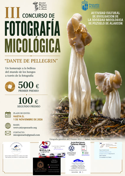 Concurso fotográfico
